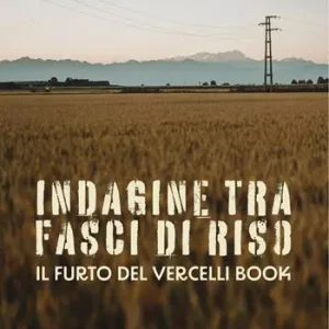 Spedizione Espresso Indagine tra fasci di riso