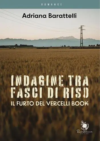 Spedizione Espresso Indagine tra fasci di riso