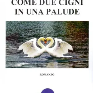 Ordina Subito Come due cigni in una palude