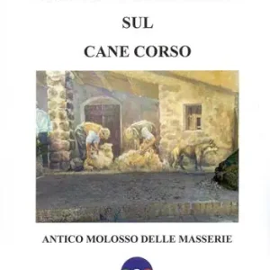Obiettivo zootecnico sul cane corso. Antico molosso delle masserie Occasione Imperdibile