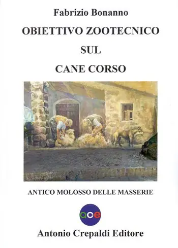 Obiettivo zootecnico sul cane corso. Antico molosso delle masserie Occasione Imperdibile