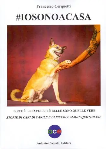 iosonoacasa. Perché le favole più belle sono quelle vere. Storie di cani di canile e di piccole magie quotidiane. Ediz. illustrata Compra Adesso