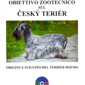 Soddisfatti O Rimborsati Obiettivo zootecnico sul cesky terier. Origine e sviluppo del terrier boemo