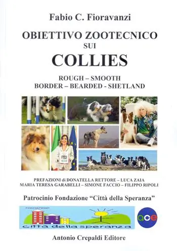 Popolare Obiettivo zootecnico sui collies. Rough, smooth, border, bearded, shetland. Ediz. illustrata
