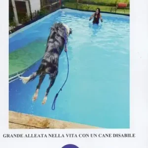 Prezzo Conveniente Terapia dell‘acqua. Grande alleata nella vita con un cane disabile. Ediz. illustrata
