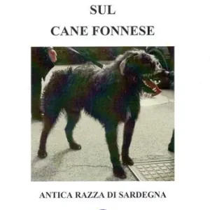 Obiettivo zootecnico sul cane fonnese. Antica razza di Sardegna Reso Gratuito