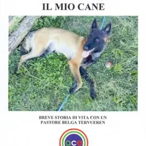 Un mese con il mio cane. Breve storia di vita con un pastore belga tervueren. Ediz. illustrata Super Prezzo