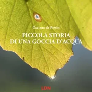 Piccola storia di una goccia d‘acqua. Ediz. a colori Vendita Finale