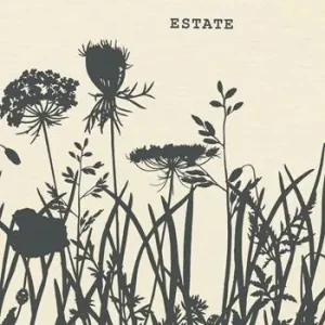 Prezzo Basso Meadow. Estate. Quaderno botanico