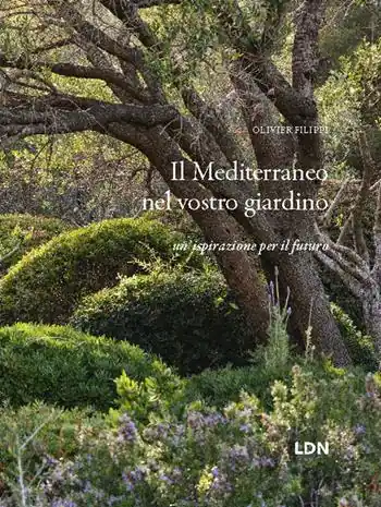Soddisfatti O Rimborsati Il Mediterraneo nel vostro giardino. Un‘ispirazione per il futuro