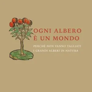 Ogni albero è un mondo. Perché non vanno tagliati i grandi alberi in natura Compra Online