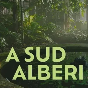 Solo Oggi A Sud Alberi. Viaggi botanici da Roma in giù