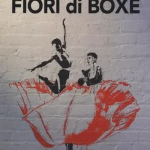 Fiori di boxe Promozione