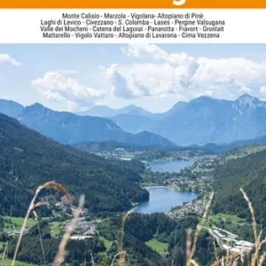 Ultime Pezzi Trento. Alta Valsugana 1 25.000