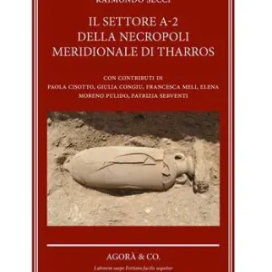 Professionale Il settore a-2 della necropoli meridionale di Tharros