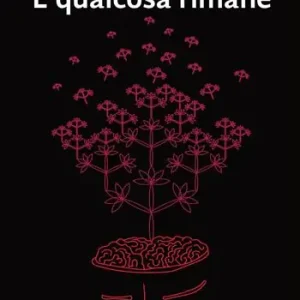 Quantità Limitata E qualcosa rimane