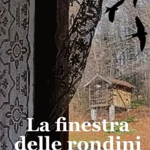 Affare La finestra delle rondini