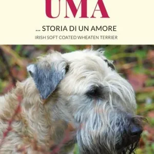 Uma... storia di un amore. Irish Soft Coated Wheaten Terrier Di Tendenza