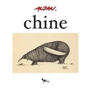 Saldi Chine. Ediz. illustrata