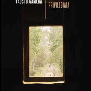 Quantità Limitata Una finestra privilegiata