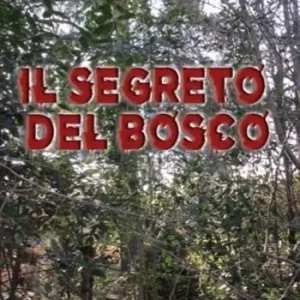 Prezzo Ridotto Il segreto del bosco