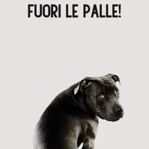 Fuori le palle! Prezzo Scontato