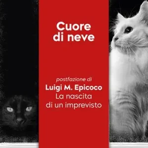 Miglior Prezzo Cuore di neve