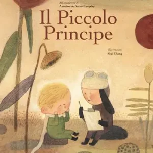 Direttamente Dal Produttore Il piccolo principe. Dal capolavoro di Antoine de Saint-Exupéry. Ediz. a colori