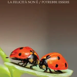 La coccinella dalle sette punte. La felicità non è. La felicità potrebbe essere Spedito Oggi