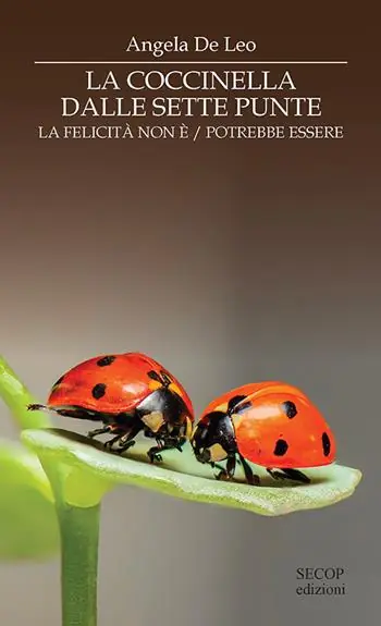 La coccinella dalle sette punte. La felicità non è. La felicità potrebbe essere Spedito Oggi