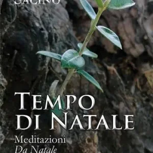 Tempo di Natale. Meditazioni. Da Natale al Battesimo di Gesù Consegna Rapida