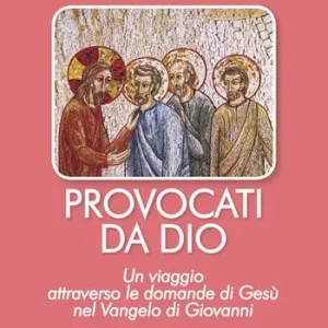 Miglior Prezzo Provocati da Dio. Un viaggio attraverso le domande di Gesù nel Vangelo di Giovanni
