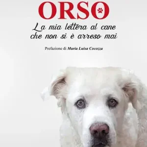 Super Prezzo Orso. La mia lettera al cane che non si è arreso mai