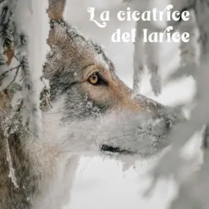 La cicatrice del larice Miglior Prezzo