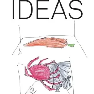 Caroline Mesquita Ideas. Ediz. illustrata Non Perdere
