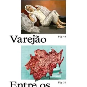 Paula Rego e Adriana Varejão. Entre os vossos dentes Di Tendenza