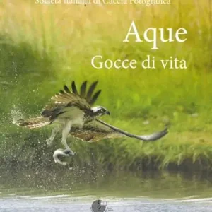Aque. Gocce di vita. Ediz. illustrata Spedizione Espresso