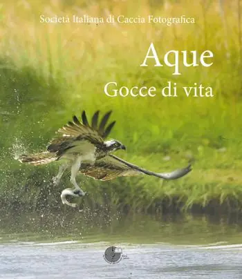 Aque. Gocce di vita. Ediz. illustrata Spedizione Espresso