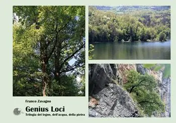 Popolare Genius loci. Trilogia del legno, dell‘acqua, della pietra. Ediz. illustrata