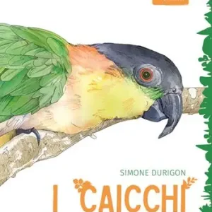 Soddisfatti O Rimborsati I caicchi. Storia naturale, biologia e allevamento del genere Pionites