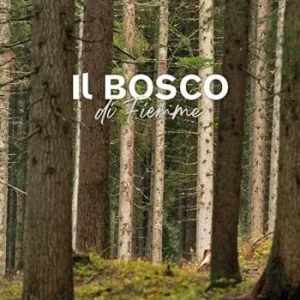 Il bosco di Fiemme Compra Adesso