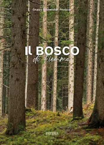 Il bosco di Fiemme Compra Adesso