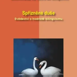 Anime gemelle. Testimonianze sul valore del bilinguismo. Ediz. italiana e ceca Consegna Rapida