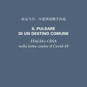 Il pulsare di un destino comune. Italia e Cina nella lotta contro il Covid-19 Prezzo Conveniente