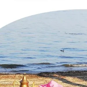 L‘ultima a morire Prezzo Basso