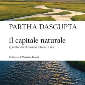 Nuova Collezione Il capitale naturale. Quanto vale il mondo intorno a noi