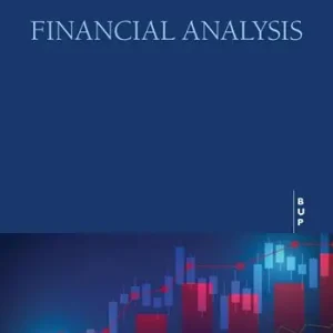 Financial analysis Pagamento Sicuro