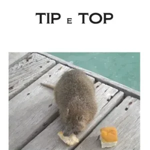 Scelto Dai Clienti Tip e top