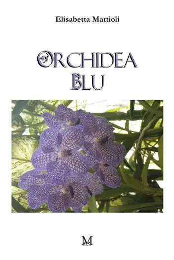 Orchidea blu Ultime Pezzi