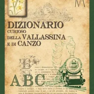 Miglior Prezzo Dizionario curioso della Vallassina e di Canzo